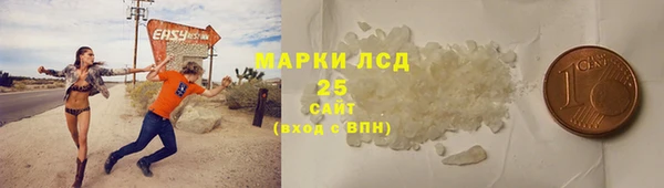 индика Беломорск
