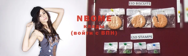 индика Беломорск