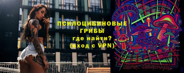 индика Беломорск