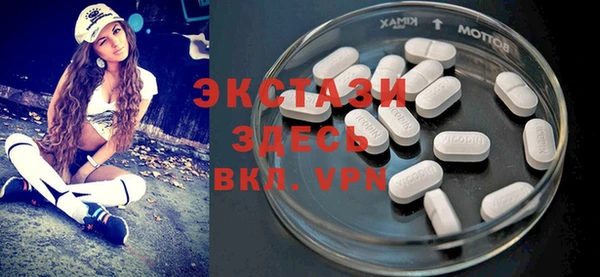 индика Беломорск