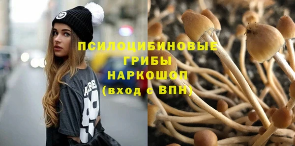 кокс Белокуриха