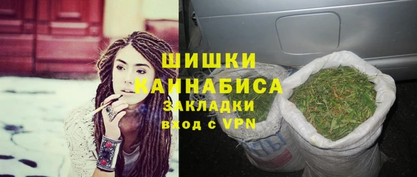 индика Беломорск