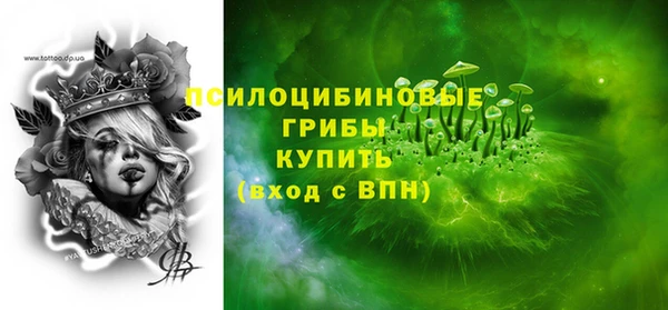 кокс Белокуриха
