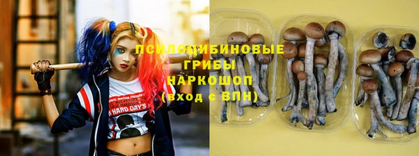 кокс Белокуриха