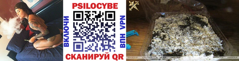 kraken маркетплейс  дарнет шоп  Севск  маркетплейс клад  Псилоцибиновые грибы ЛСД 